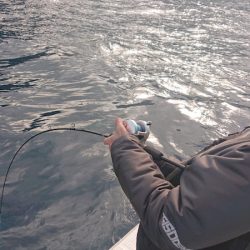 海皇丸 釣果