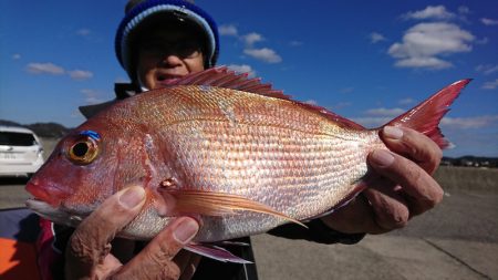 第三共栄丸 釣果