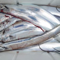 シースナイパー海龍 釣果