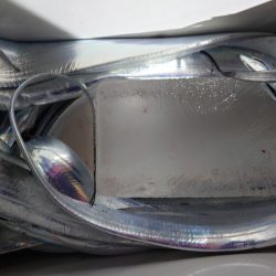 シースナイパー海龍 釣果