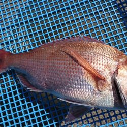 第三共栄丸 釣果