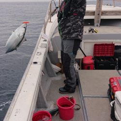海皇丸 釣果