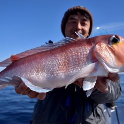 渡船屋たにぐち 釣果
