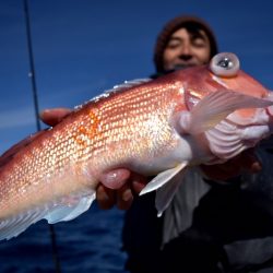 渡船屋たにぐち 釣果