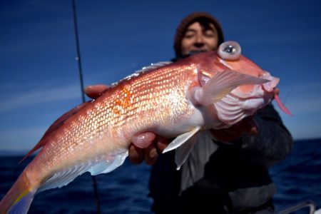 渡船屋たにぐち 釣果
