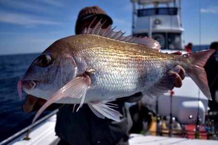 渡船屋たにぐち 釣果
