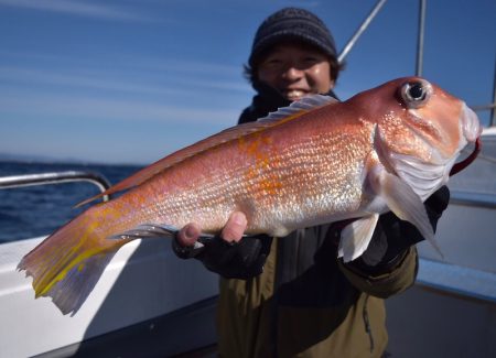 渡船屋たにぐち 釣果