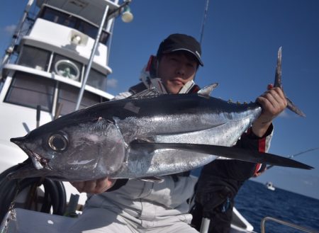 渡船屋たにぐち 釣果