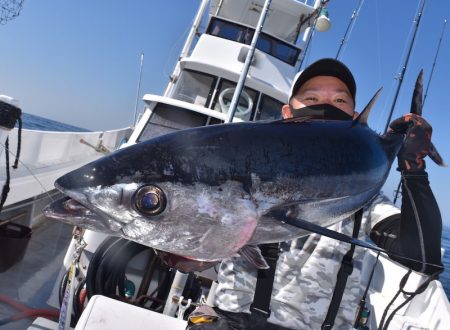 渡船屋たにぐち 釣果