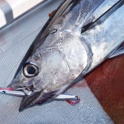 渡船屋たにぐち 釣果