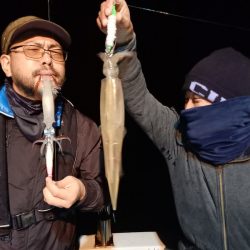 アマテラス 釣果