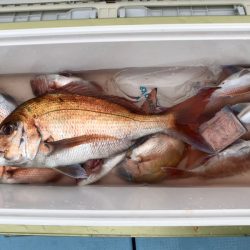 第二八坂丸 釣果