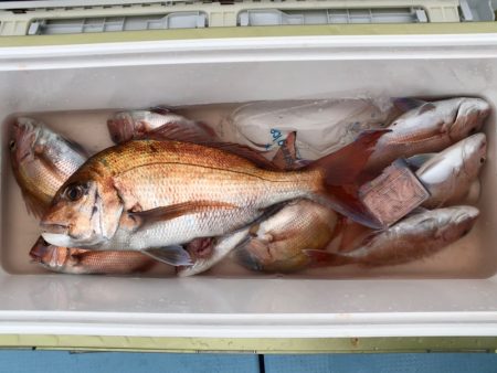 第二八坂丸 釣果