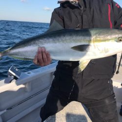 ランスルー 釣果