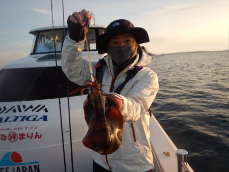 きずなまりん 釣果