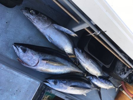 渡船屋たにぐち 釣果