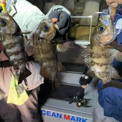 Chase（チェイス） 釣果