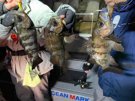 Chase（チェイス） 釣果