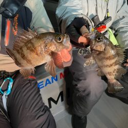 Chase（チェイス） 釣果