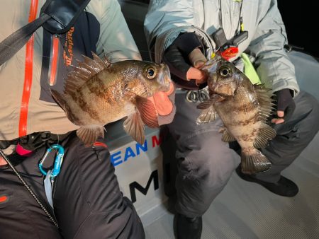 Chase（チェイス） 釣果