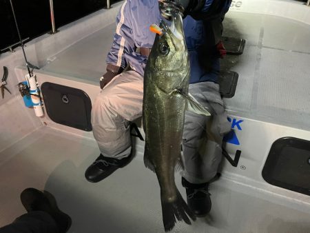 Chase（チェイス） 釣果