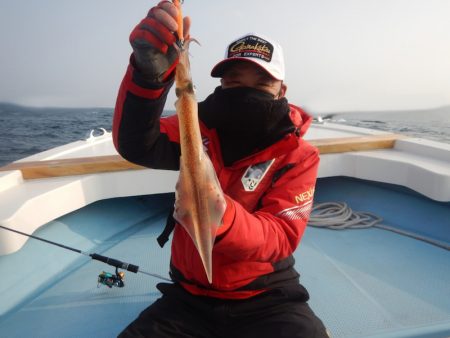 きずなまりん 釣果