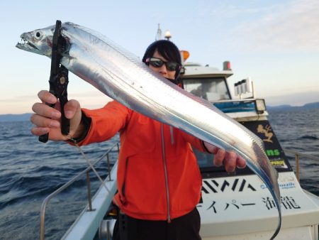 シースナイパー海龍 釣果