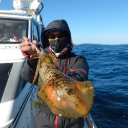 きずなまりん 釣果