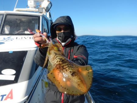 きずなまりん 釣果