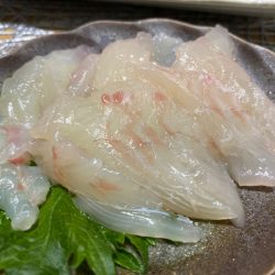 龍神丸（鹿児島） 釣果