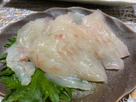 龍神丸（鹿児島） 釣果