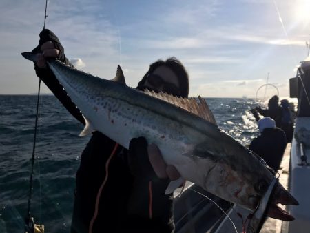 ランスルー 釣果