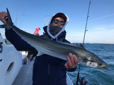 ランスルー 釣果