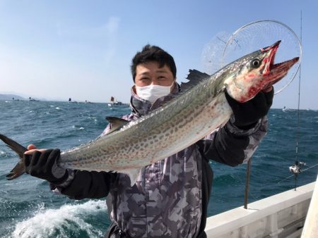 ランスルー 釣果