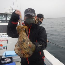 きずなまりん 釣果