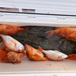 第二龍勢丸 釣果