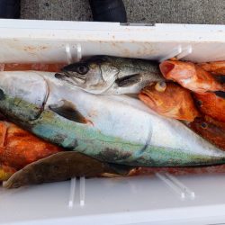 第二龍勢丸 釣果