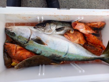 第二龍勢丸 釣果