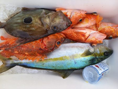 第二龍勢丸 釣果