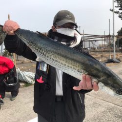 ランスルー 釣果