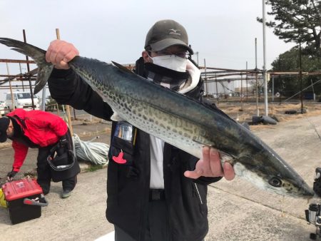 ランスルー 釣果