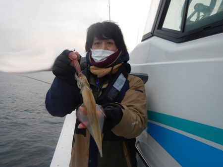 きずなまりん 釣果