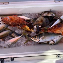 海龍丸（石川） 釣果