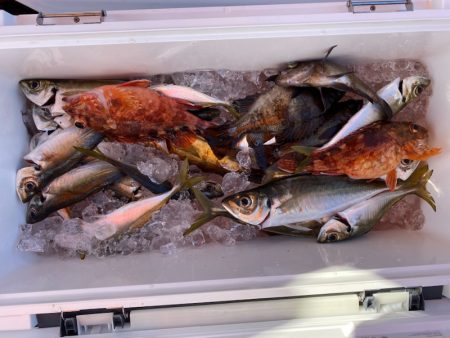 海龍丸（石川） 釣果