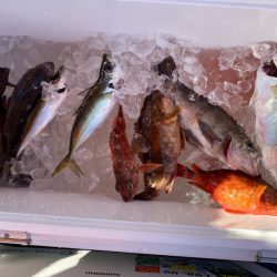 海龍丸（石川） 釣果