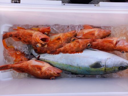 第二龍勢丸 釣果