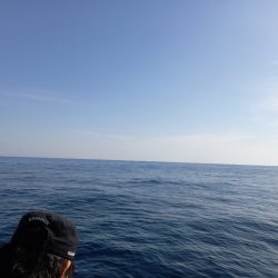 第二龍勢丸 釣果