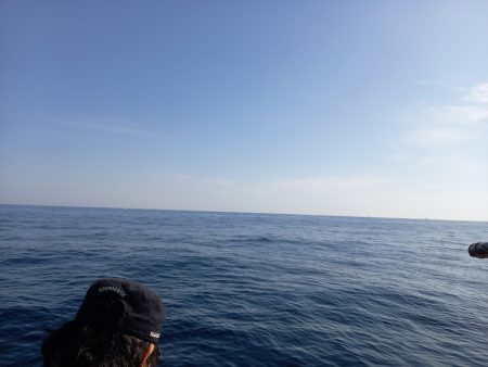 第二龍勢丸 釣果