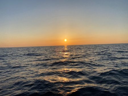 「LaGooN」蒼陽丸 日和号 釣果