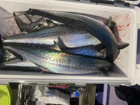 海龍丸（石川） 釣果